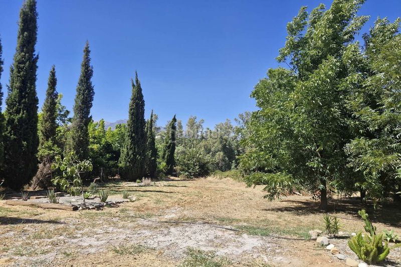 Foto fbfe4c5a-9817-4176-bca9-85bd6a891922. Masia amb aparcament piscina a Coín