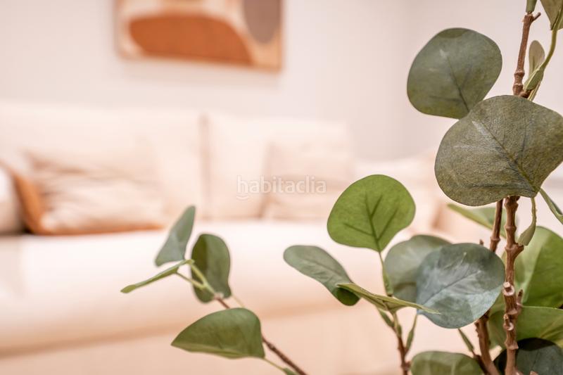 Foto 0d9bc515-fed7-40d5-9d51-73e6adb5b66d. Rent apartment in salud kalea 14 in Amara Zaharra-Arbaizenea Donostia - San Sebastián