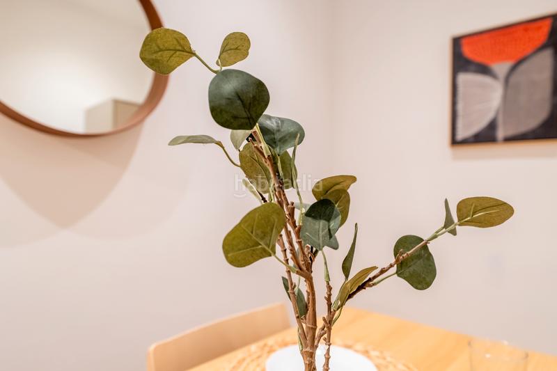 Foto 21c922fc-78b4-454f-86b3-d3784965819e. Location appartement dans salud kalea 14 dans Amara Zaharra-Arbaizenea Donostia - San Sebastián