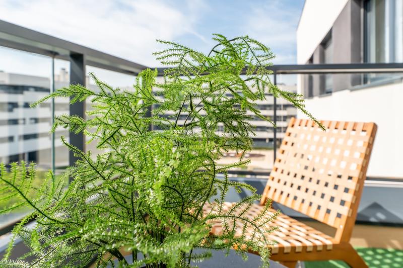 Foto 7fe883e7-ce41-4c03-9bf9-35228794df5c. Alquiler piso en calle islas caimán 3 en El Olivar Alcalá de Henares