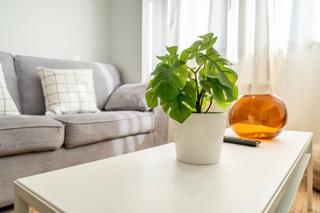 Flat in Calle de Hércules 23