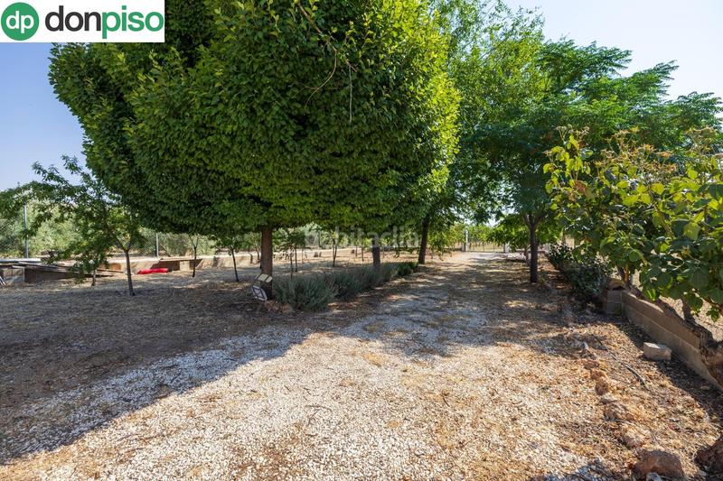 Foto 4ccfd0f2-8a41-4160-82a5-4c92e6996ae9. Chalet !! fantástica finca de recreo a 20 minutos de granada !! en Darro