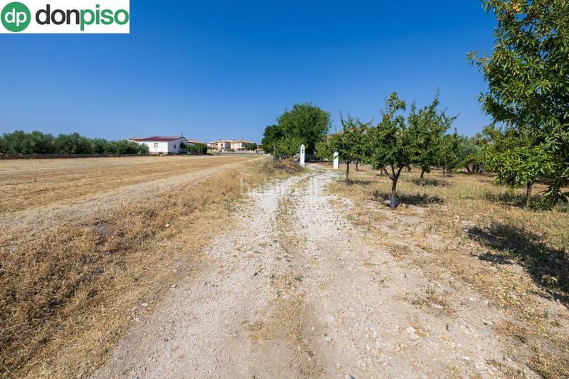 Foto d82b7f4a-6f7b-4609-bbc0-323b42dd286d. Chalet !! fantástica finca de recreo a 20 minutos de granada !! en Darro