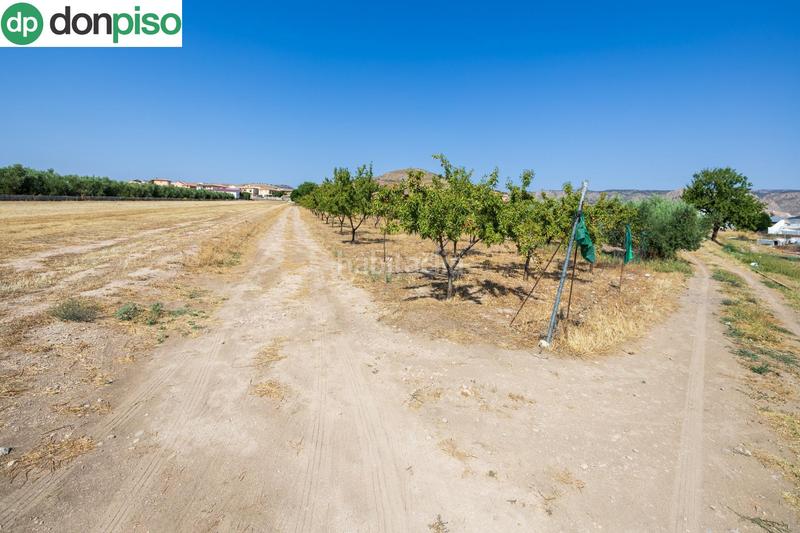 Foto dbfcdb2c-2404-45ff-b80f-23cf55b18534. Chalet !! fantástica finca de recreo a 20 minutos de granada !! en Darro