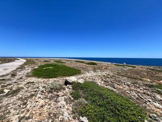 Wohngrundstück in Punta Grossa. Parcela urbanizable en punta grosa