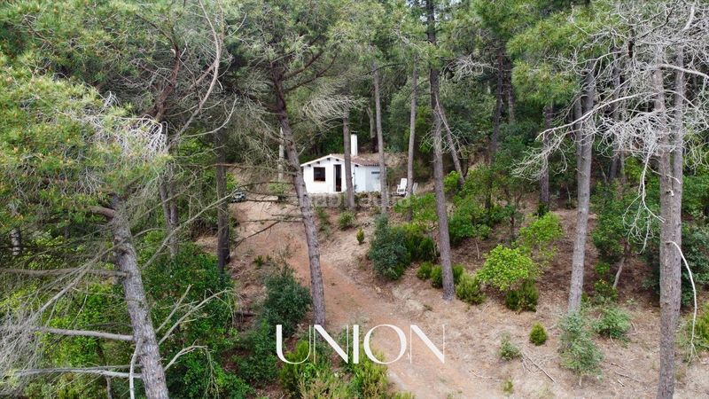 Foto 0cc8cdcd-afd3-4e3a-8fd1-751b79f5e5c2. Finca rústica a Cassà de la Selva