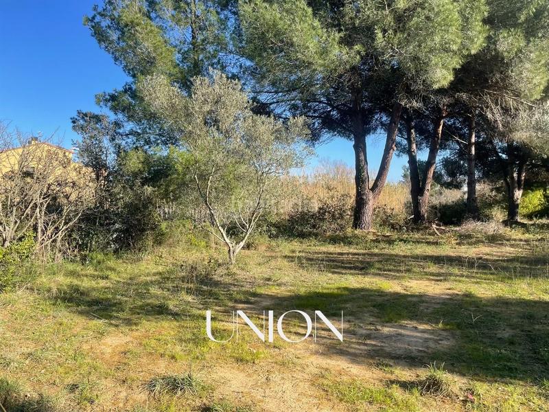 Foto 9987ce32-f9b2-4810-a48a-138f9a3c893f. Terreny residencial a Puig Ses Forques - Torre Colomina Sant Antoni de Calonge