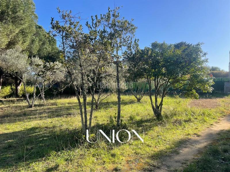 Foto c04f89d4-4cd9-4570-826c-acccfe66e9e0. Terreny residencial a Puig Ses Forques - Torre Colomina Sant Antoni de Calonge