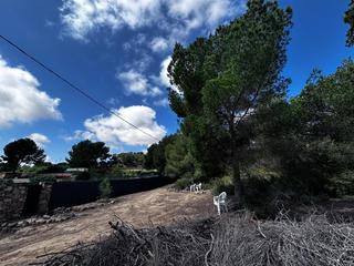 Propriété à Pilar de la Horadada Ciudad. Terreno 5.156m2 rustico en pinar de la perdiz   pilar de la hora