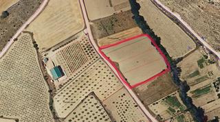 Finca rústica a Munera. ?? huerta en munera – junto al río ??
