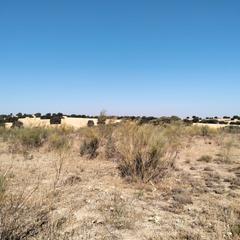 Finca rústica a Munera. ?? ¡tu rincón en plena naturaleza te está esperando! ??