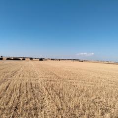 Finca rústica a Cm-3152 6. ?? terrenos rústicos en venta – desde 5 hasta 10 hectáreas