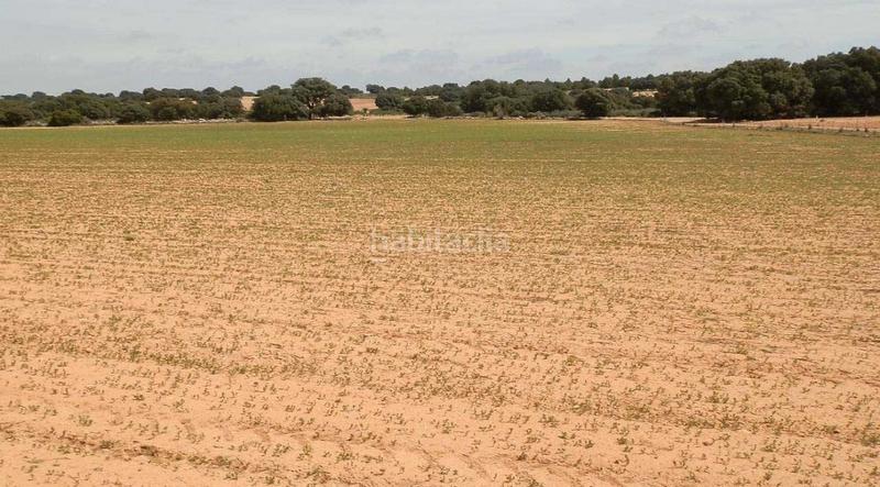 Foto a074efad-225a-4137-b729-9f6555ab63c2. Finca rústica a calle rosario 3 a Lezuza