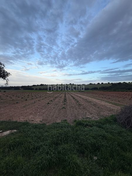 Foto 8340b2bc-b310-4f98-9298-4323b8f33452. Finca rústica a cm-3106 7 a Munera
