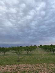 Fondo rustico in Cm-3106 7. ?? finca rústica de gran extensión con cultivos ??