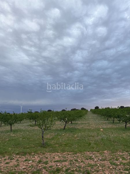 Foto 90605d84-b7c0-4083-8049-37f284e56d28. Finca rústica a cm-3106 7 a Munera