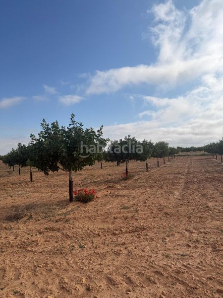 Foto 578178a8-27f2-491b-9d51-a4fa4ace6f89. Finca rústica a Iniesta