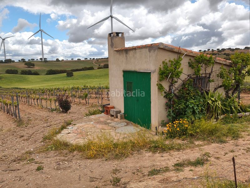 Foto 7a7f0fbd-b548-4003-9094-3f1d157b9152. Finca rústica a calle diseminado 86 a Munera