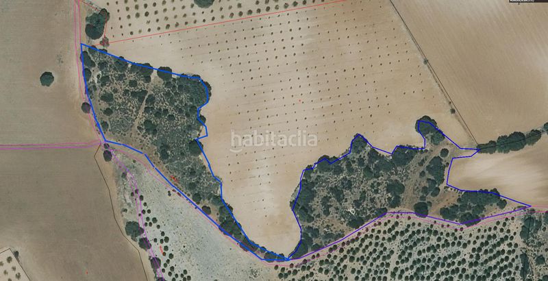 Foto b5f16a65-31da-4af0-84ca-f013ddfcfa00. Finca rústica a calle diseminado 74 a Munera