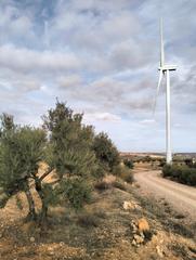 Finca rústica a Calle diseminado 126. Olivas camino eólico el bonillo