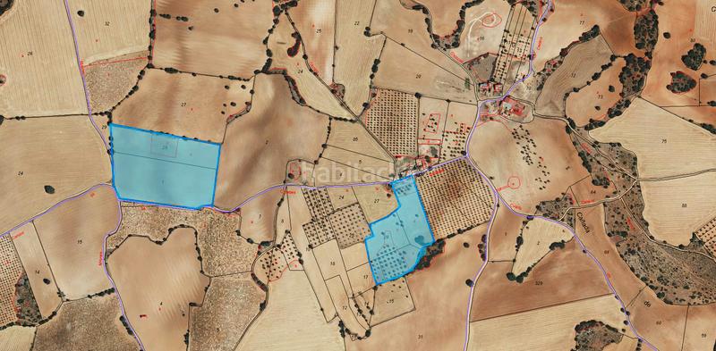 Foto 65d5e850-5552-43c9-a0ae-770b354c6778. Rural plot in n/a in Munera