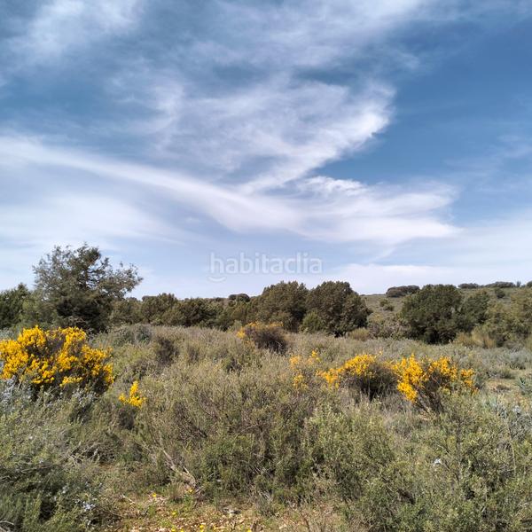 Foto 0d9c8db0-2398-4ca5-9eb7-12f4e0cb40dd. Landgut in n/a in Bonillo (El)