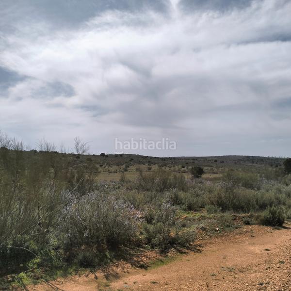 Foto 3f5fc69d-6deb-4edf-a69b-beeb01c22800. Landgut in n/a in Bonillo (El)