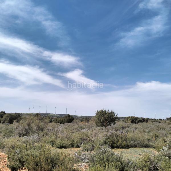 Foto 51667086-56b2-4232-a3ea-8a47c3a33349. Landgut in n/a in Bonillo (El)