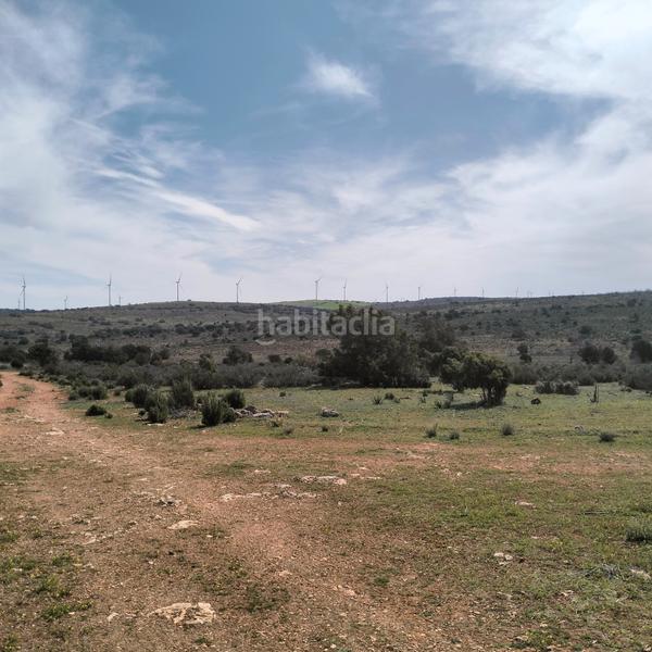 Foto 708ca8f8-aea1-4d2f-a3ee-75970312cef7. Landgut in n/a in Bonillo (El)