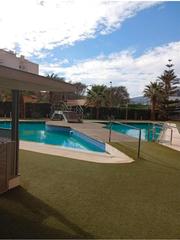 Pis  Calle árbol del caucho