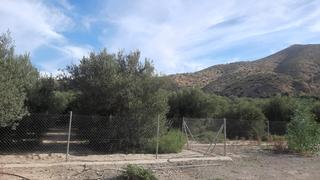 Masia a Calle horno 2. Cortijo con terreno de 4.500m
