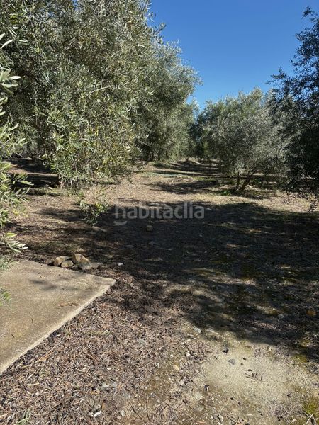 Foto 83db3f04-c48f-4a35-ae77-6057b1045176. Mas avec cheminée dans Canjáyar