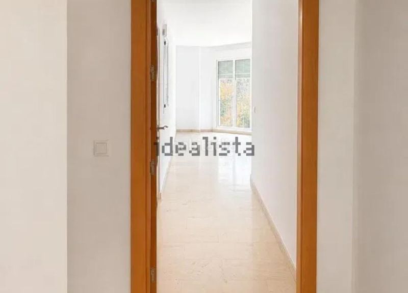 Foto 42bee7da-e1f0-43cf-a752-31ef1a50ce59. Pis a Viator