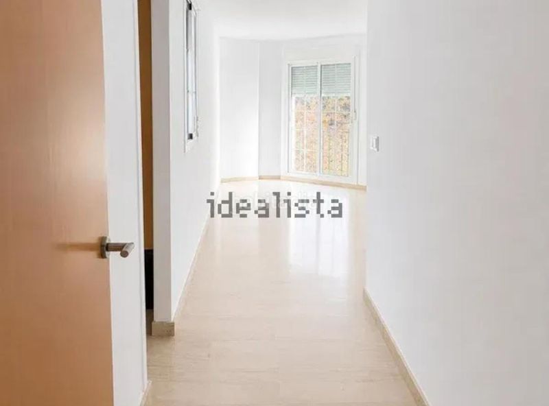 Foto 7385d5d2-ff23-4e64-9f3e-e3234b54bdac. Pis a Viator