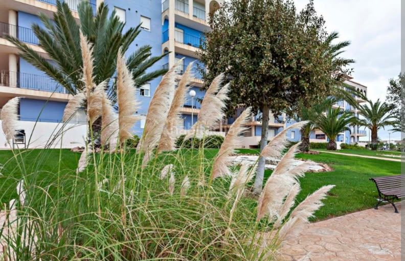 Foto 0f6f6a01-7021-4d1e-b043-e069840e6f64. Flat in Almerimar Ejido (El)