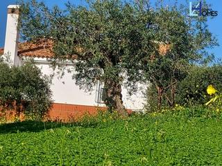 Masia a Álora. Finca en alora, area partida de las lomas