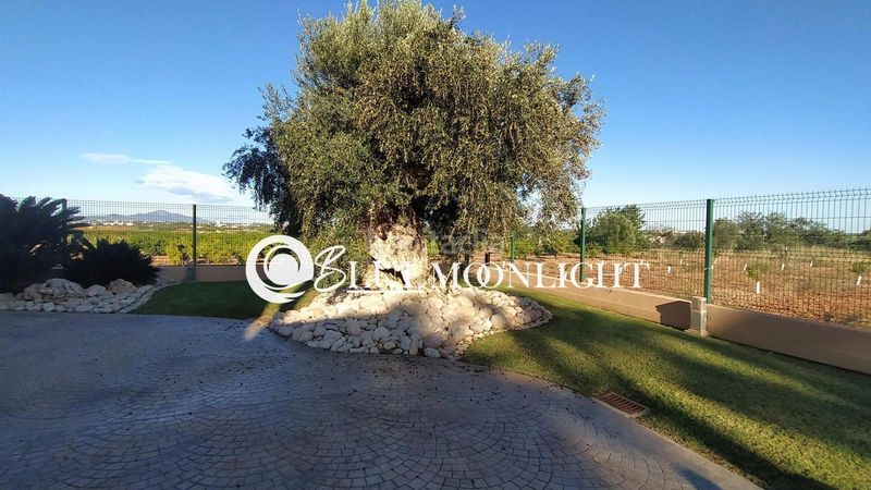 Foto a278e412-be04-48bd-aae3-86194fcc3639. Xalet amb calefacció aparcament piscina a Las Atalayas-Urmi-Cerro Mar Peñíscola
