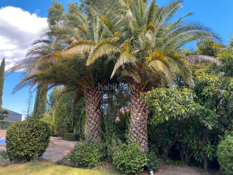 Foto 1395057b-f7b2-4362-b045-a2c2f2506ac3. Chalet en Molino de la Hoz Rozas de Madrid (Las)