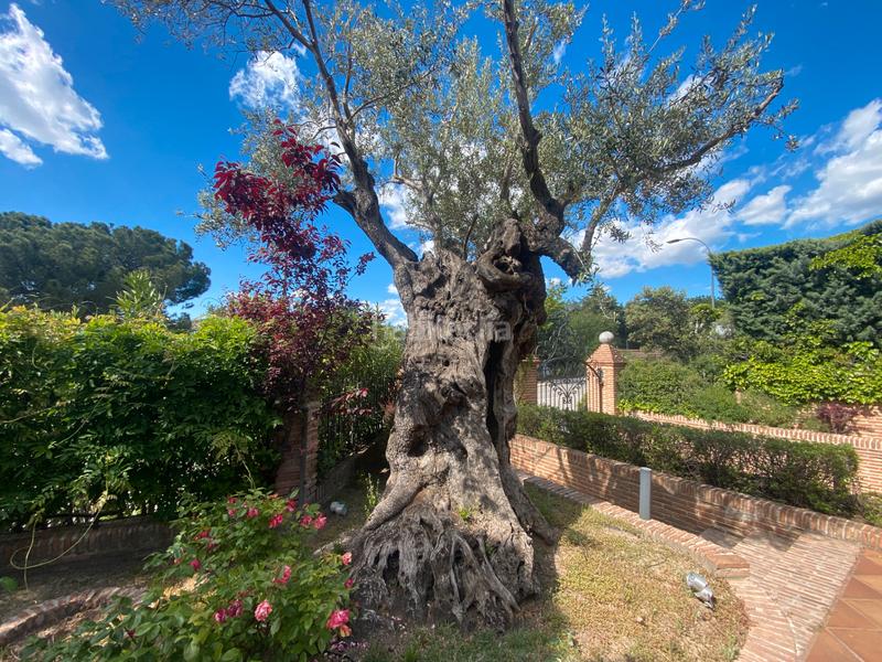 Foto 3e62866a-eb06-4bd7-aaf9-abe50cb00b67. Chalet en Molino de la Hoz Rozas de Madrid (Las)