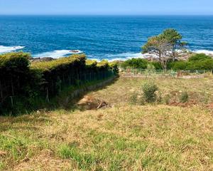 Finca rústica  Po-552. Terreno en venta en carretera de baiona a la guardia, km 168