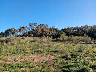 Terreny residencial a Costitx. Terreno en venta