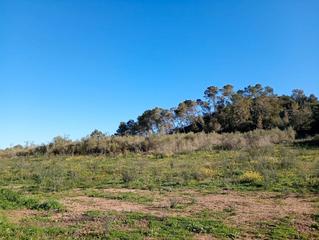Residential Plot in Costitx. Terreno en venta