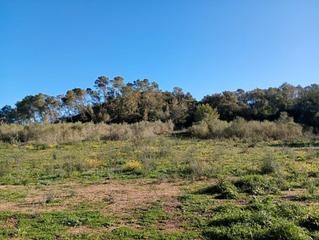 Terreno residencial en Costitx. Terreno en venta