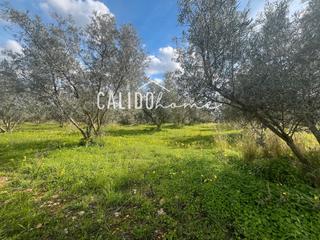 Finca rústica a Selva. Terreno en venta