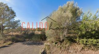 Rent Rural plot in Felanitx Poble. Se alquila parcela en felanitx