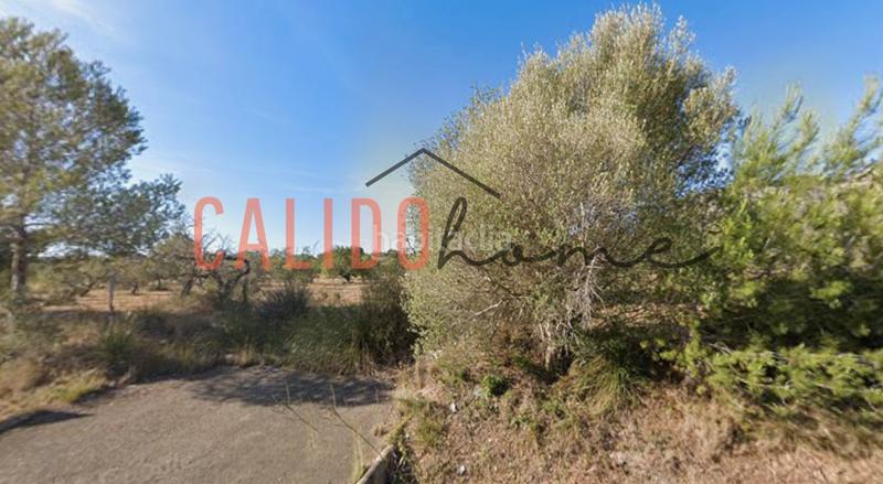 Foto 29f33ac9-6865-447a-be27-ccdc7db42e2d. Rent rural plot in Felanitx poble Felanitx