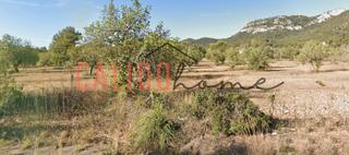 Rent Rural plot in Felanitx Poble. Se alquila parcela rústica en felanitx