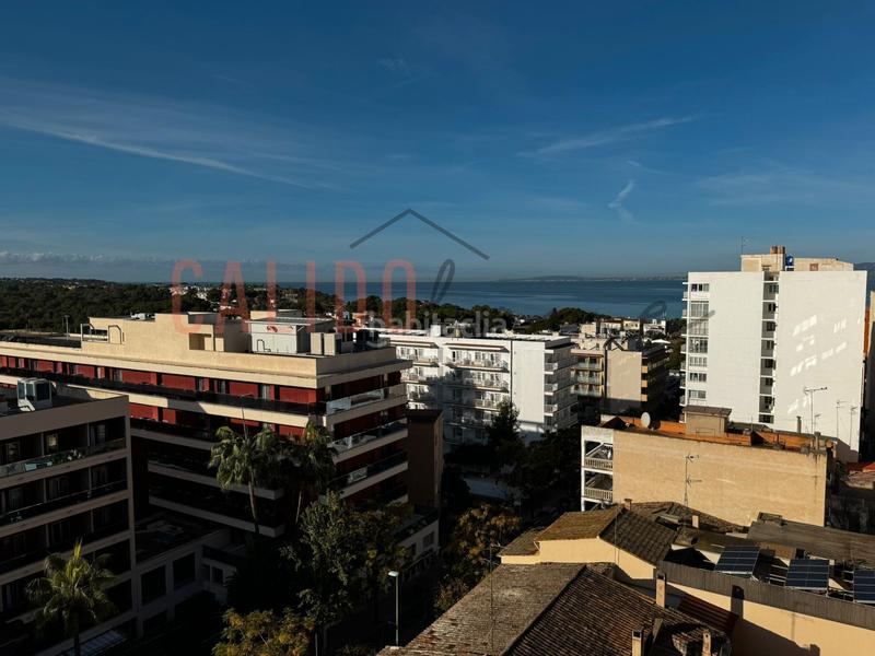 Foto 0b4217f5-f905-45ee-bde2-8055b62dc917. Location appartement dans S´Arenal Llucmajor