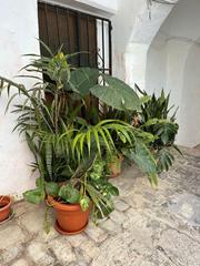 Location Studio  Calle moreno de mora. Estudio para todo el año
