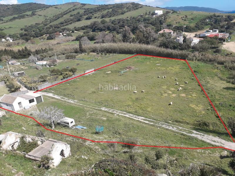 Foto e0697026-e84e-4ee4-bae4-12238615edfd. Bauernhof in Puntales - Zona Franca Cádiz